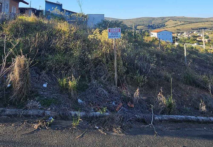 Terreno urbano (Leopoldo)